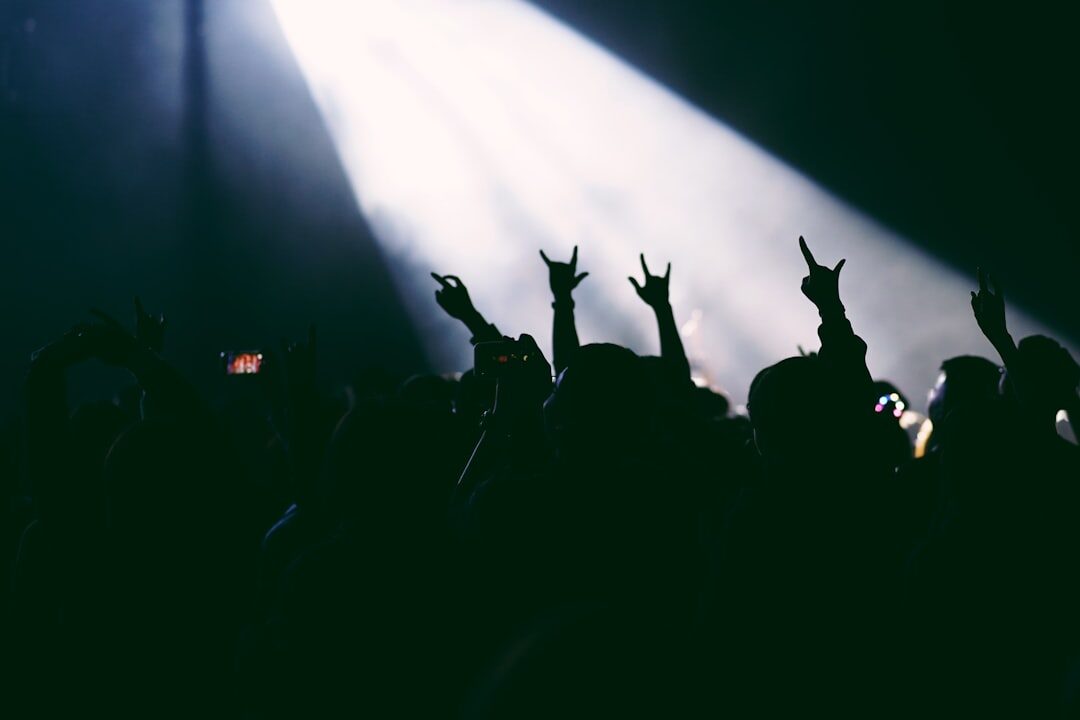 Silhouettes of a crowd bathed in stage light at a concert