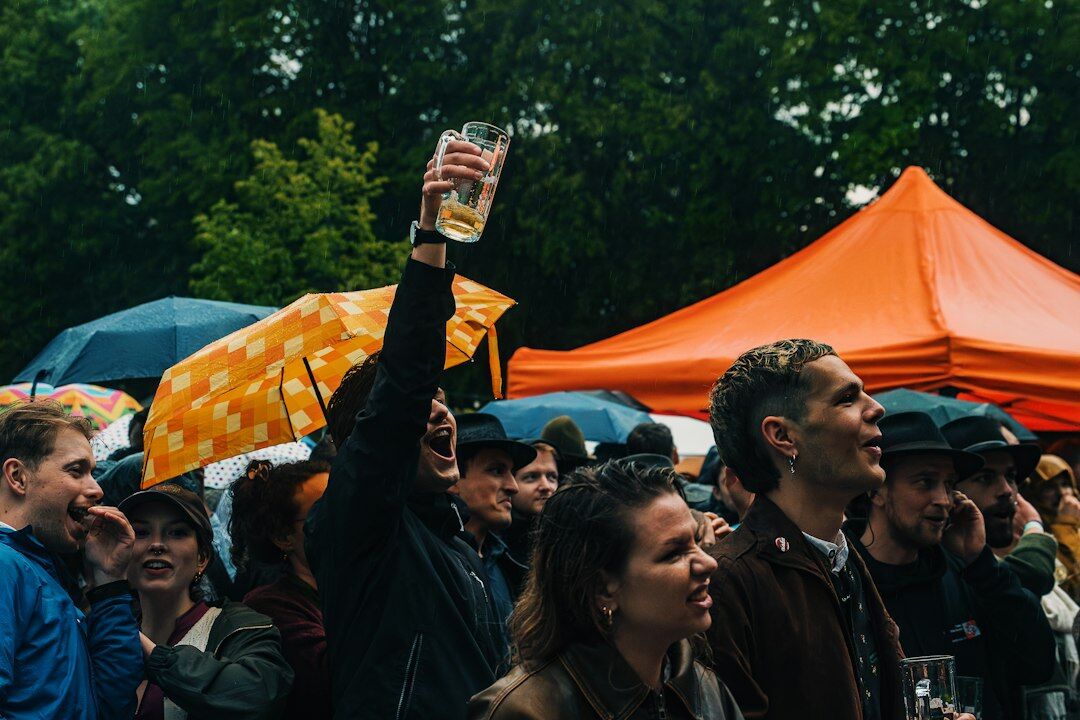 Crowd of fans raising hands at an outdoor festival